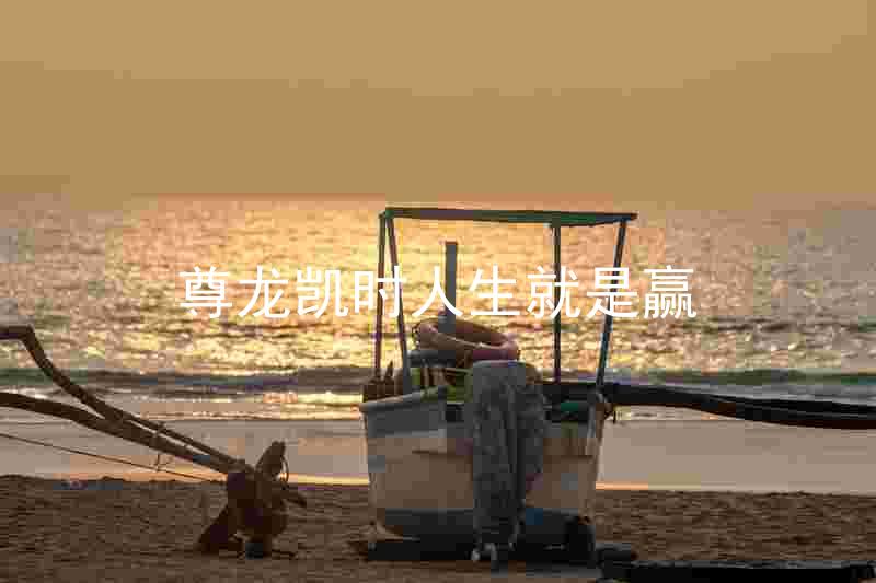 尊龙凯时人生就是赢